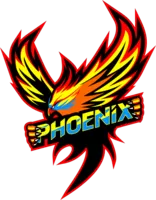 chippewa-valley-phoenix