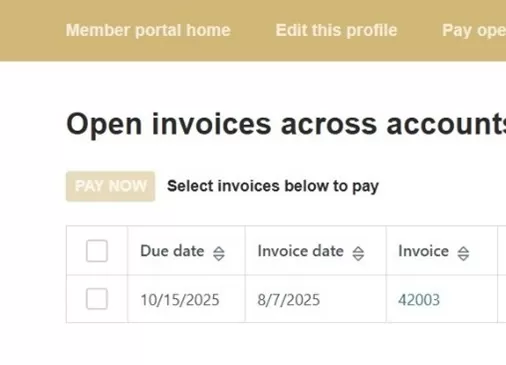 pay-now